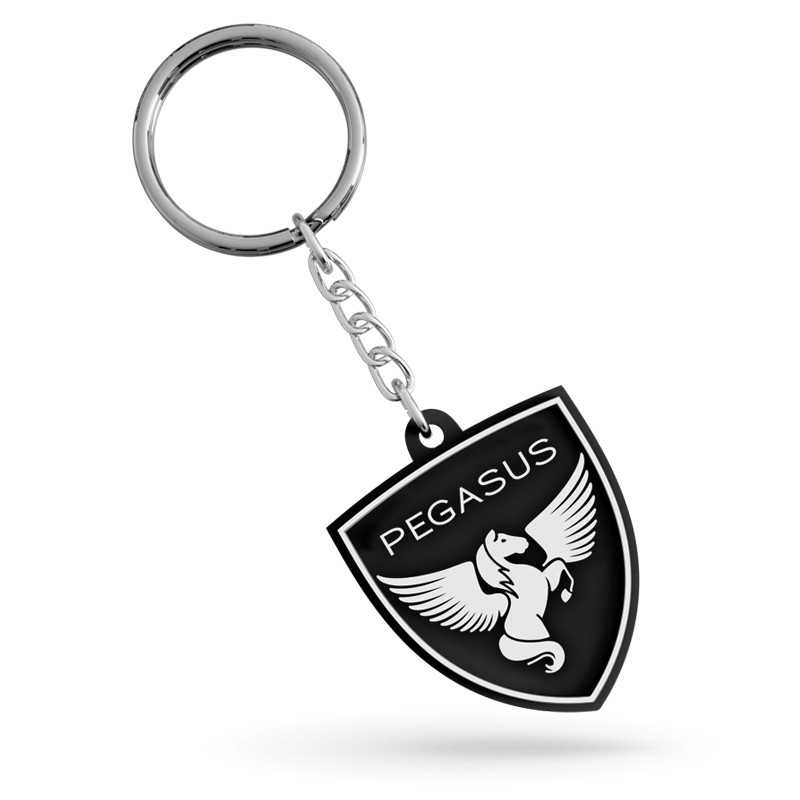 Standard automotive injected PVC keychain